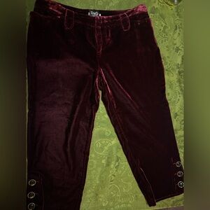 Docle and Gabbana (D&G) Authentic Deep Red Velvet Trousers